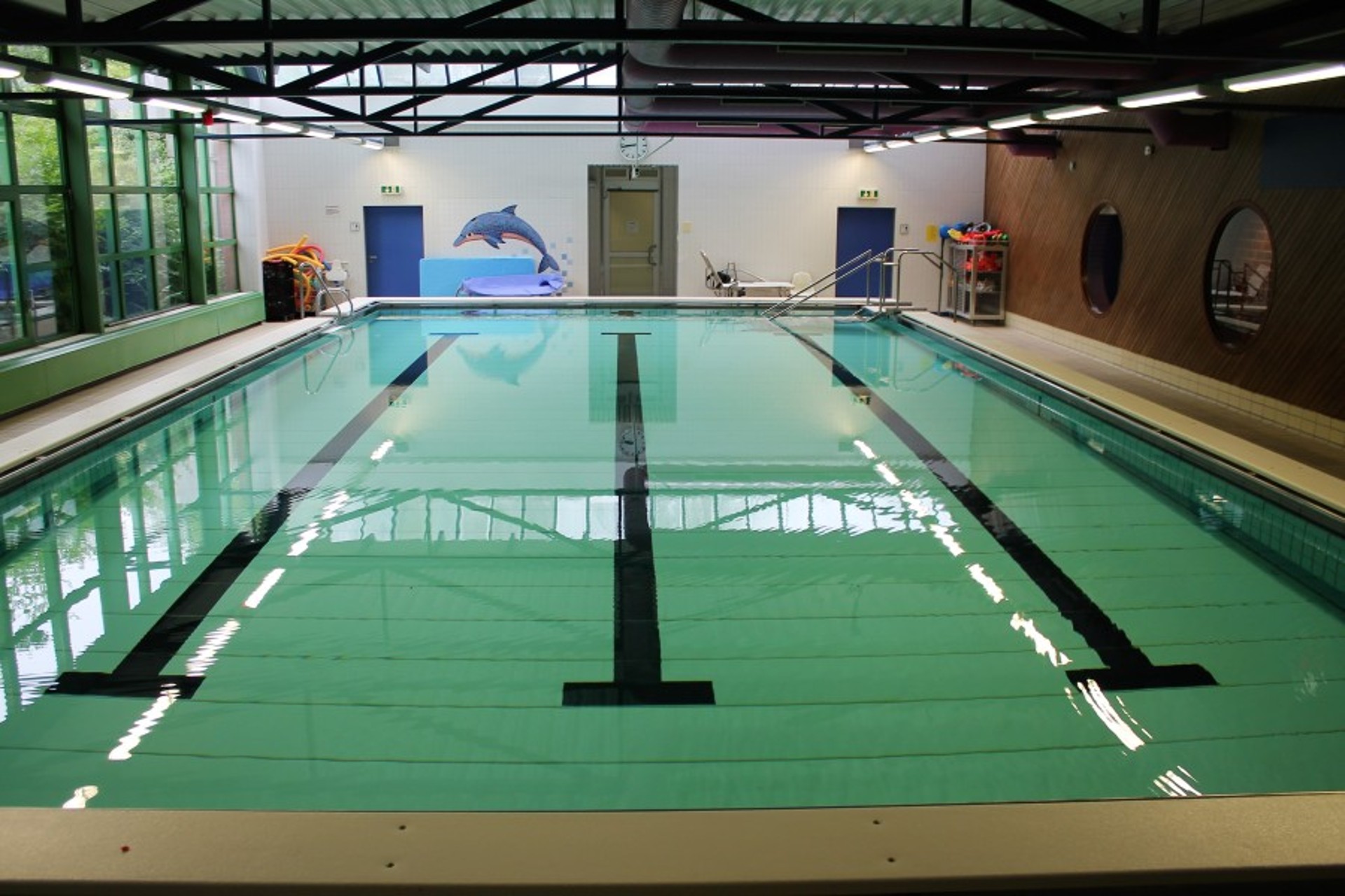 Ein helles Hallenbad mit türkisfarbenem Becken und schwarzen Bodenmarkierungen. Im Hintergrund ein Delfin-Wandbild, links große Fenster und rechts eine Holzwand mit Bullaugen-Fenstern.